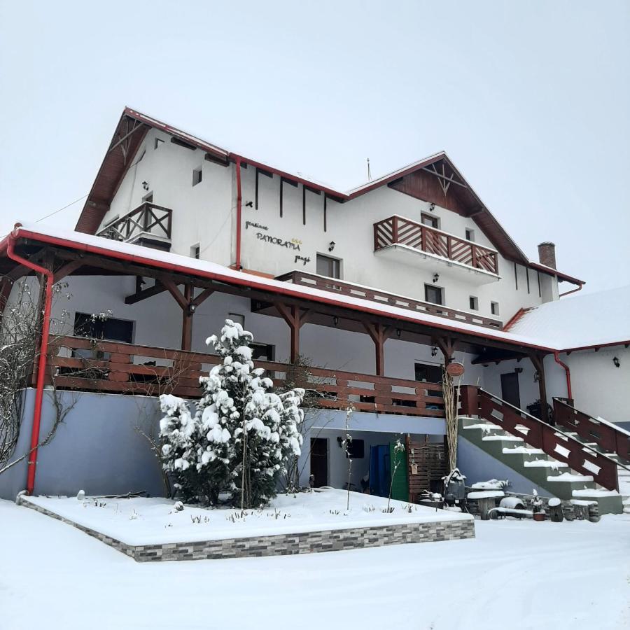 Panorama Cehu Silvaniei Dış mekan fotoğraf