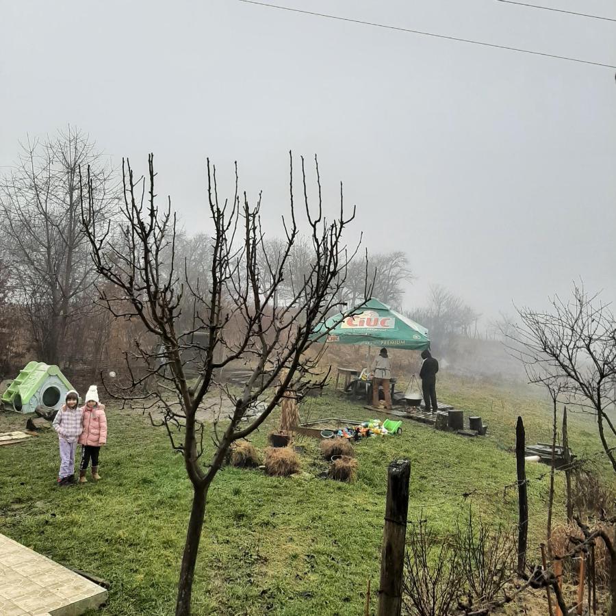Panorama Cehu Silvaniei Dış mekan fotoğraf