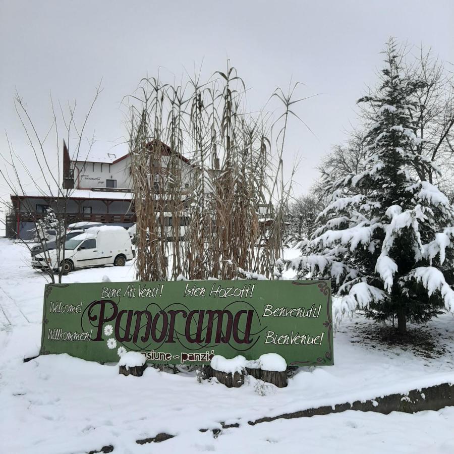 Panorama Cehu Silvaniei Dış mekan fotoğraf