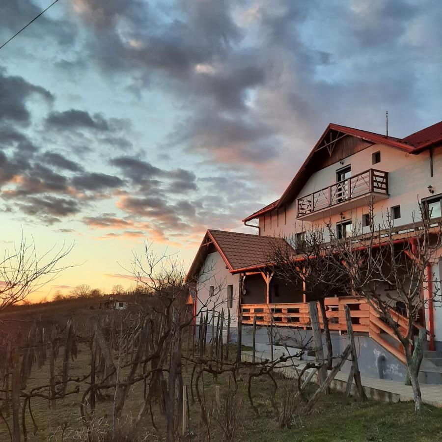 Panorama Cehu Silvaniei Dış mekan fotoğraf