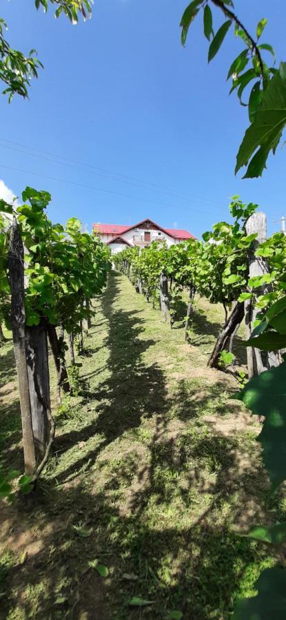 Panorama Cehu Silvaniei Dış mekan fotoğraf