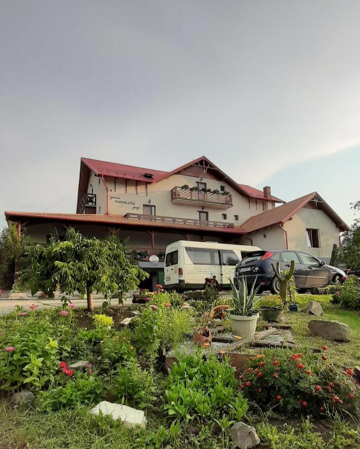 Panorama Cehu Silvaniei Dış mekan fotoğraf