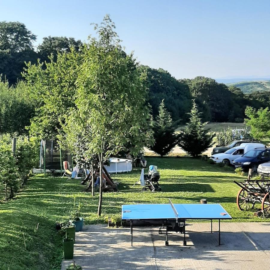 Panorama Cehu Silvaniei Dış mekan fotoğraf