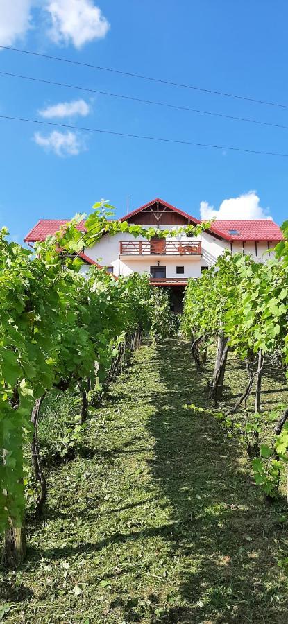 Panorama Cehu Silvaniei Dış mekan fotoğraf