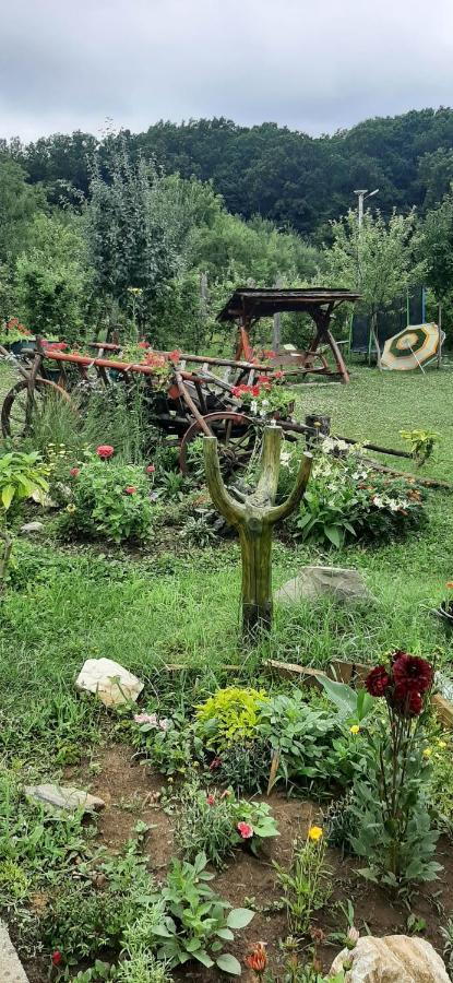 Panorama Cehu Silvaniei Dış mekan fotoğraf