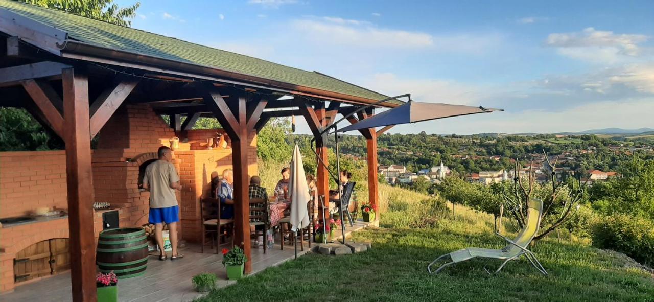 Panorama Cehu Silvaniei Dış mekan fotoğraf