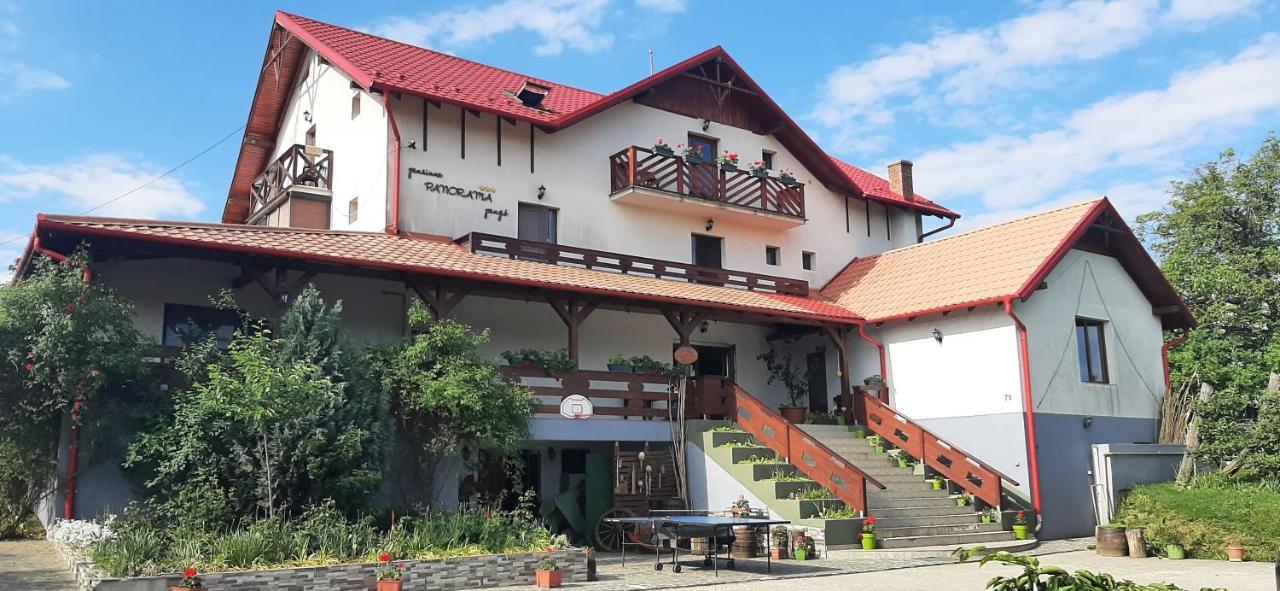 Panorama Cehu Silvaniei Dış mekan fotoğraf