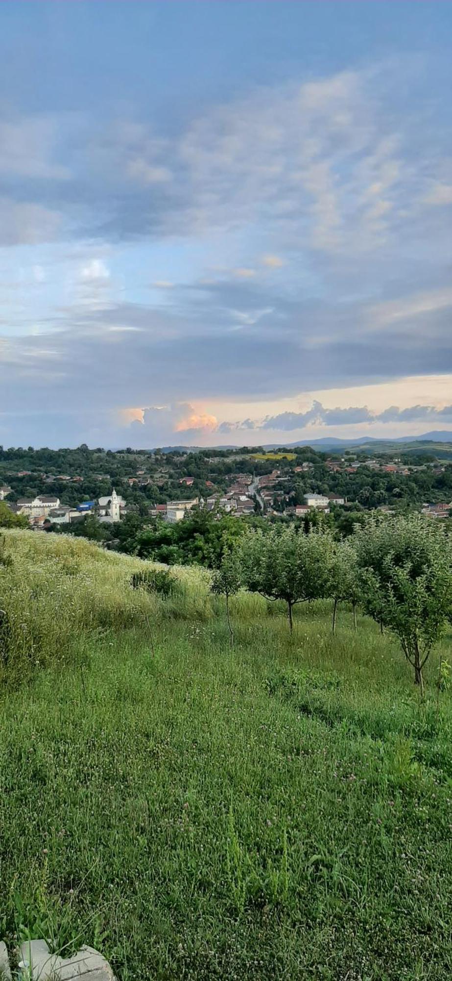 Panorama Cehu Silvaniei Oda fotoğraf