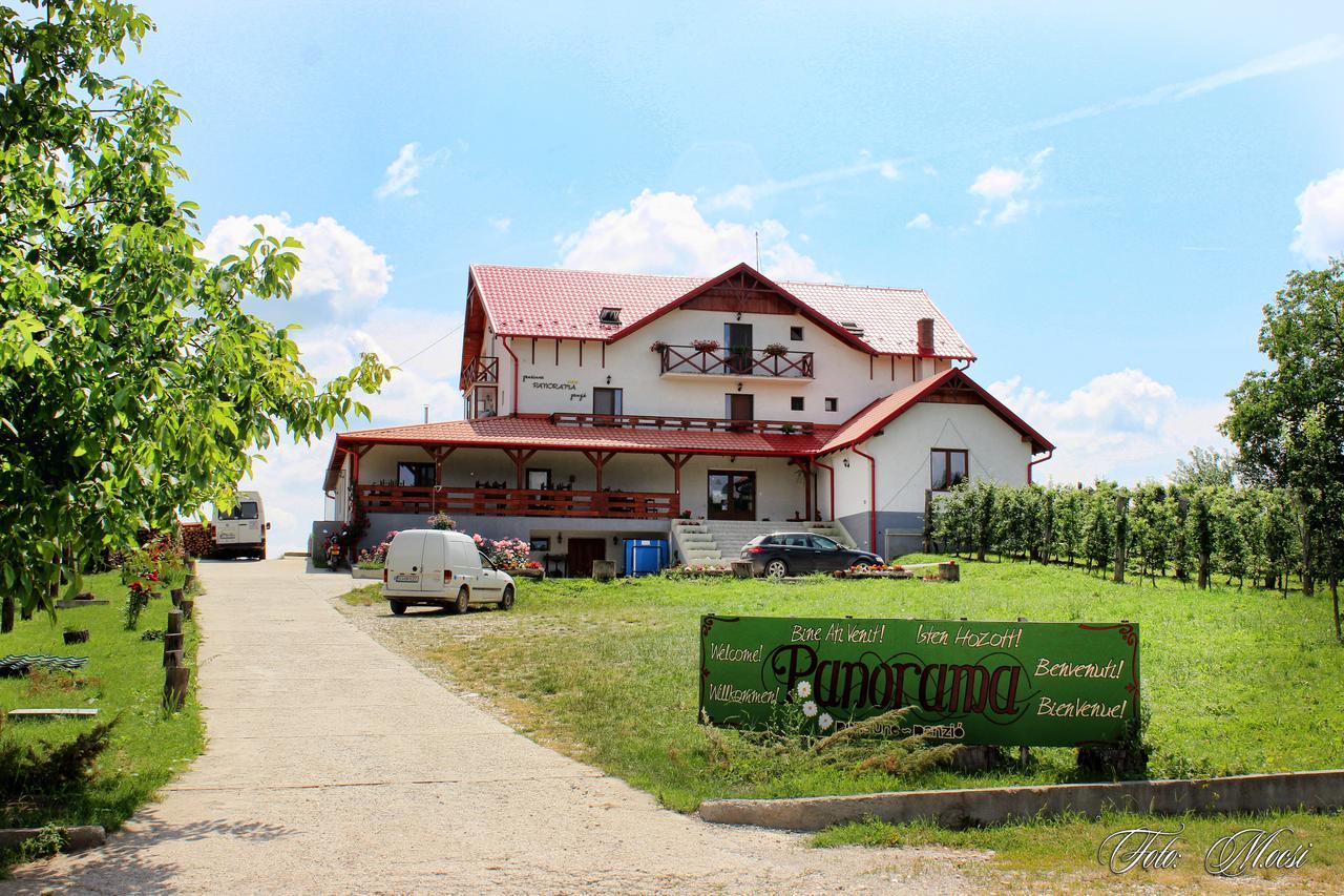 Panorama Cehu Silvaniei Dış mekan fotoğraf