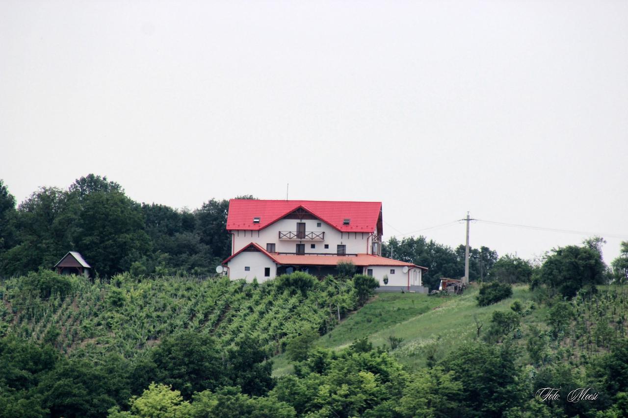 Panorama Cehu Silvaniei Dış mekan fotoğraf