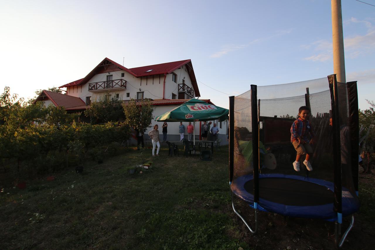 Panorama Cehu Silvaniei Dış mekan fotoğraf