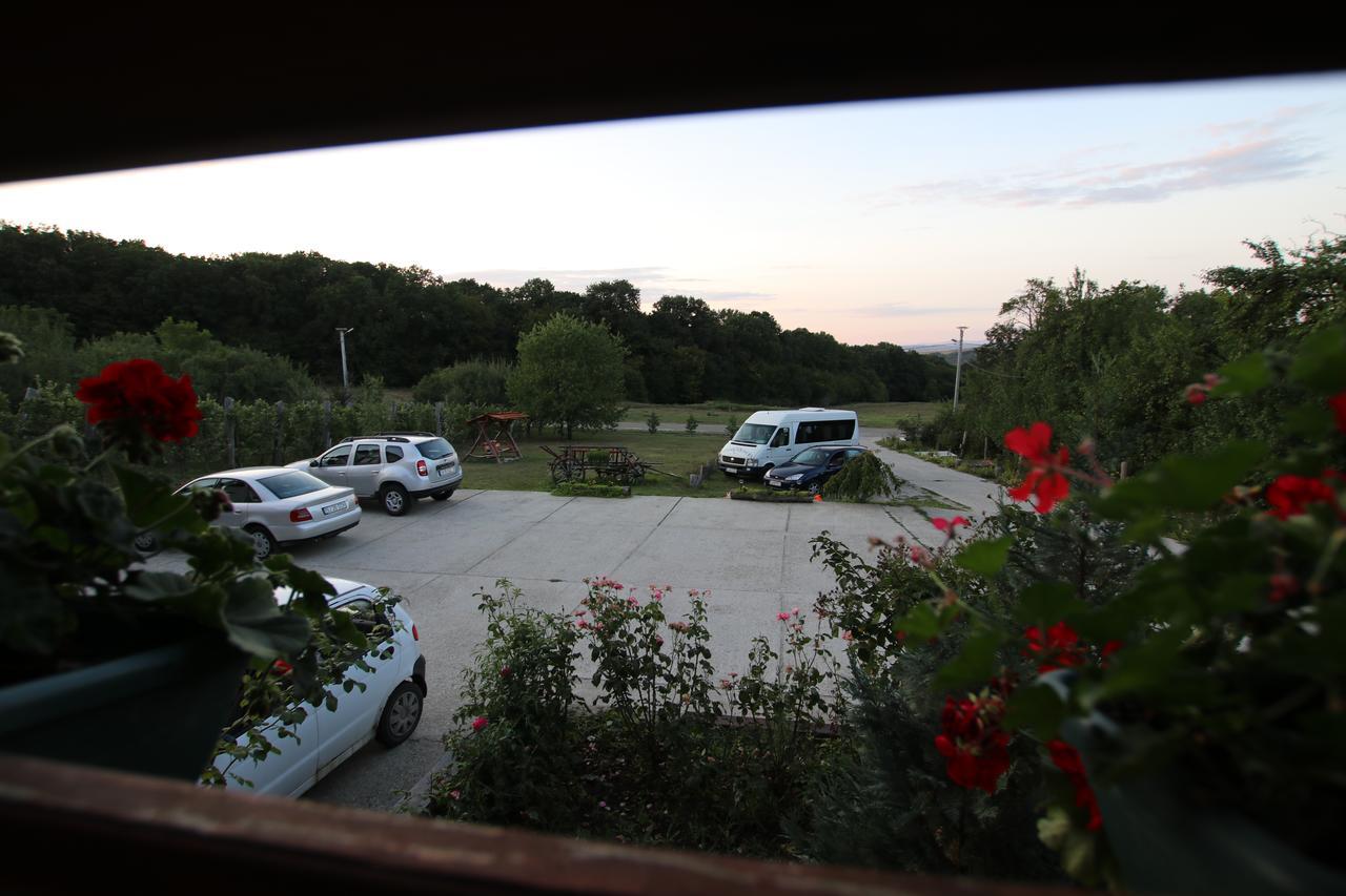 Panorama Cehu Silvaniei Dış mekan fotoğraf