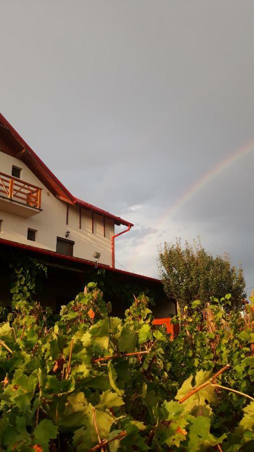 Panorama Cehu Silvaniei Dış mekan fotoğraf